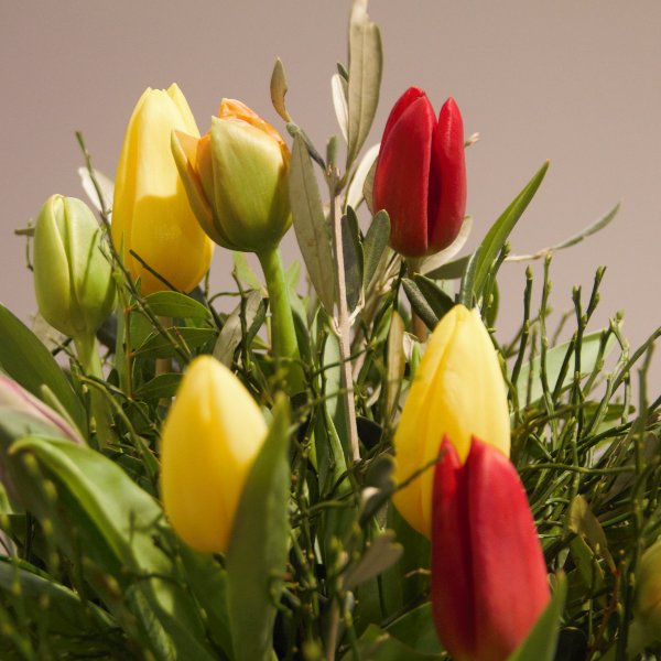 Strauß "bunte Tulpen" Bild 3